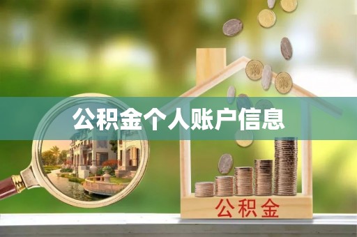 高明公积金个人账户信息