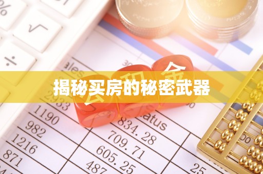 平台揭秘买房的秘密武器