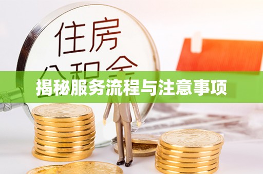 水里揭秘服务流程与注意事项
