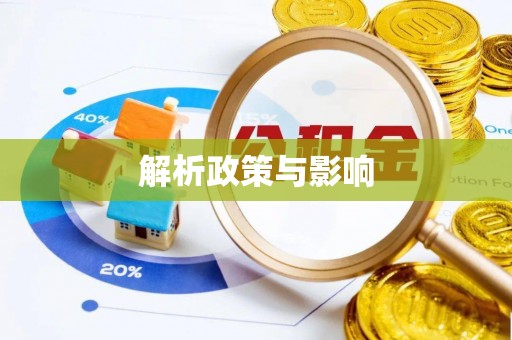 平阳解析政策与影响