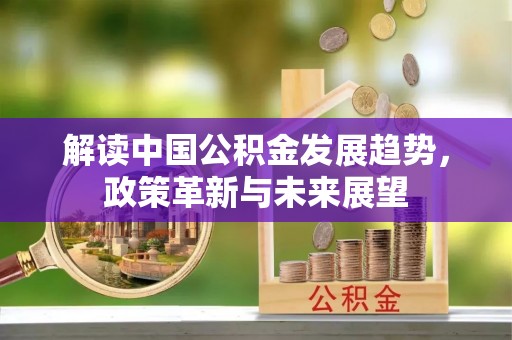 大悟解读中国公积金发展趋势，政策革新与未来展望