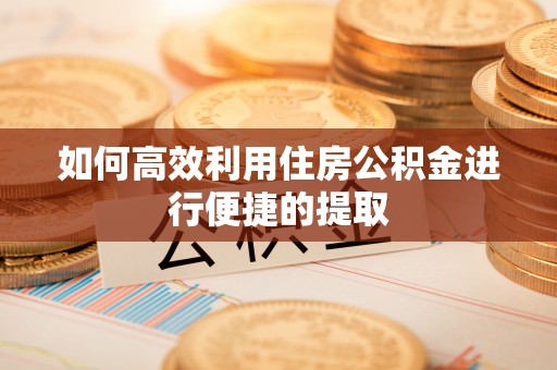 中站如何高效利用住房公积金进行便捷的提取