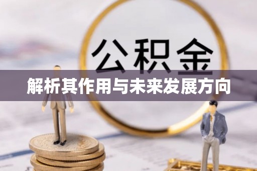 泉州解析其作用与未来发展方向