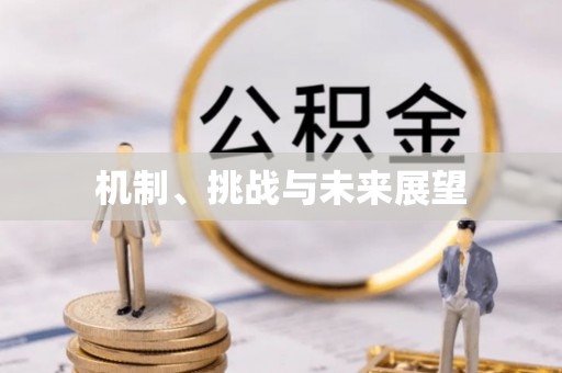 青铜峡机制、挑战与未来展望